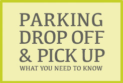 parking_bug